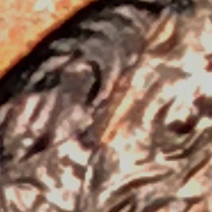 2008-Lincoln-Memorial-Cent-Spikehead-Or-Interior-Die-Break?