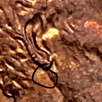 1989-LMC-Question-Below-Earlobe