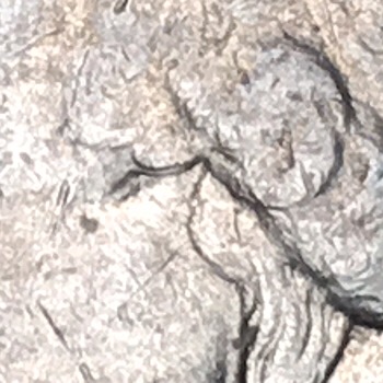 1985-P-Washington-Quarter-Questions