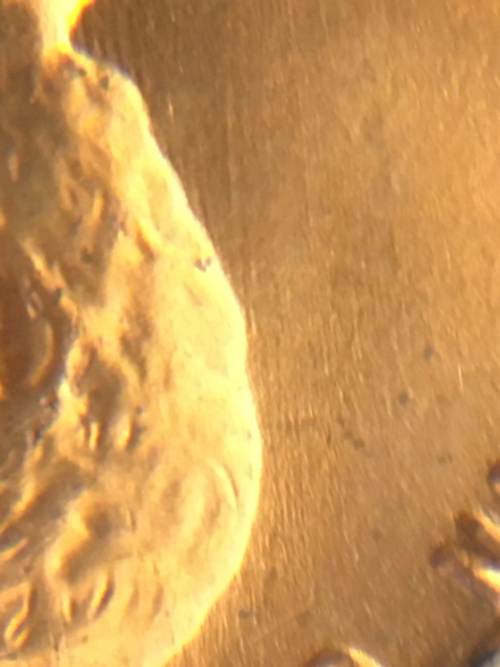 1964-Penny-SMS?-Lookalike?