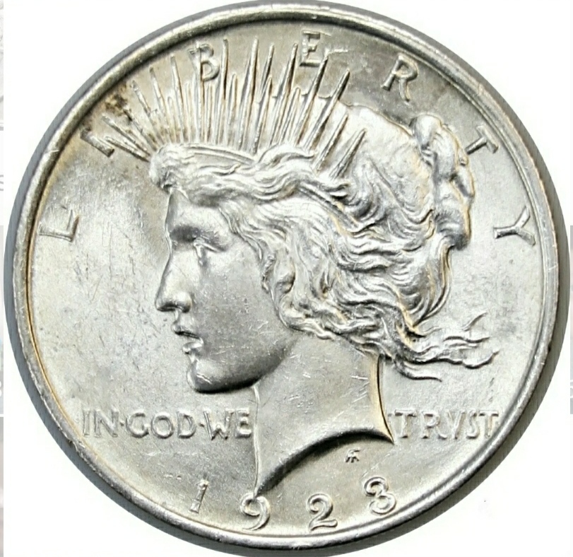 1923-Peace-Dollar-Double-Die-Grade-Thoughts