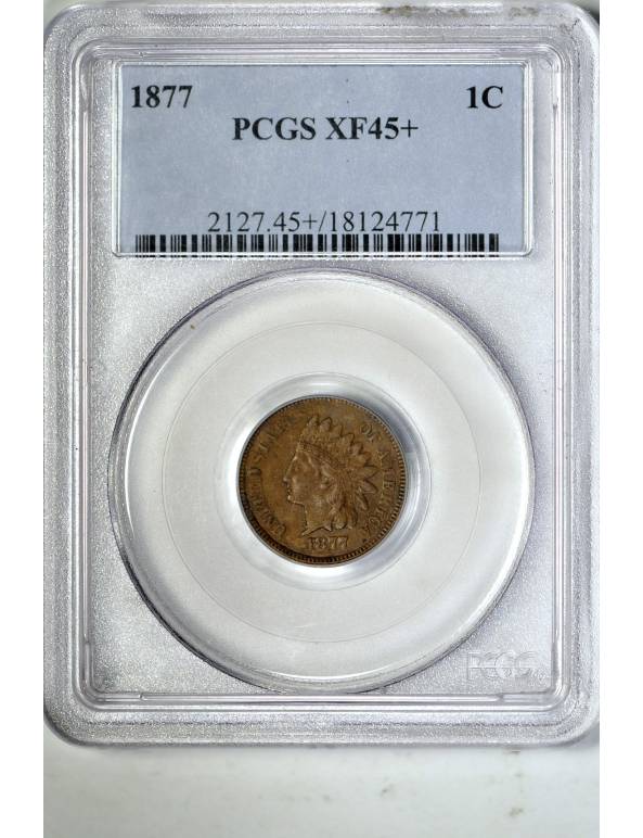 1877-1-Cent-For-Grading