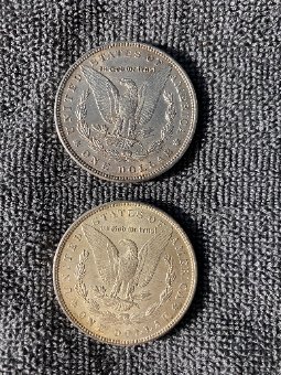 Opinion-About-Morgan-Silver-Dollars-I-Have