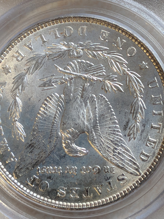 1886-Morgan-MS-65--CAC-Certified?