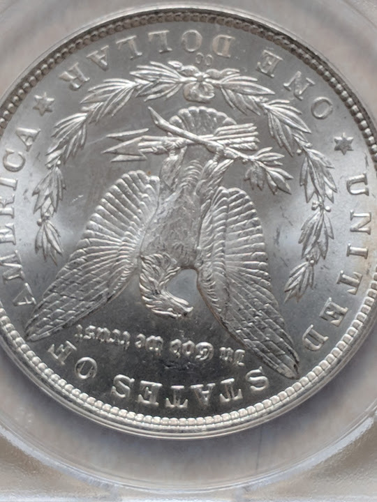 1882-Morgan-CC-Just-Got-In-Today.
