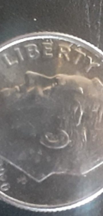 Is-This-A-Blep?-2018-2020-Dimes