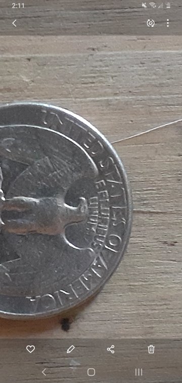 Valuable-Or-Considered-Damaged?