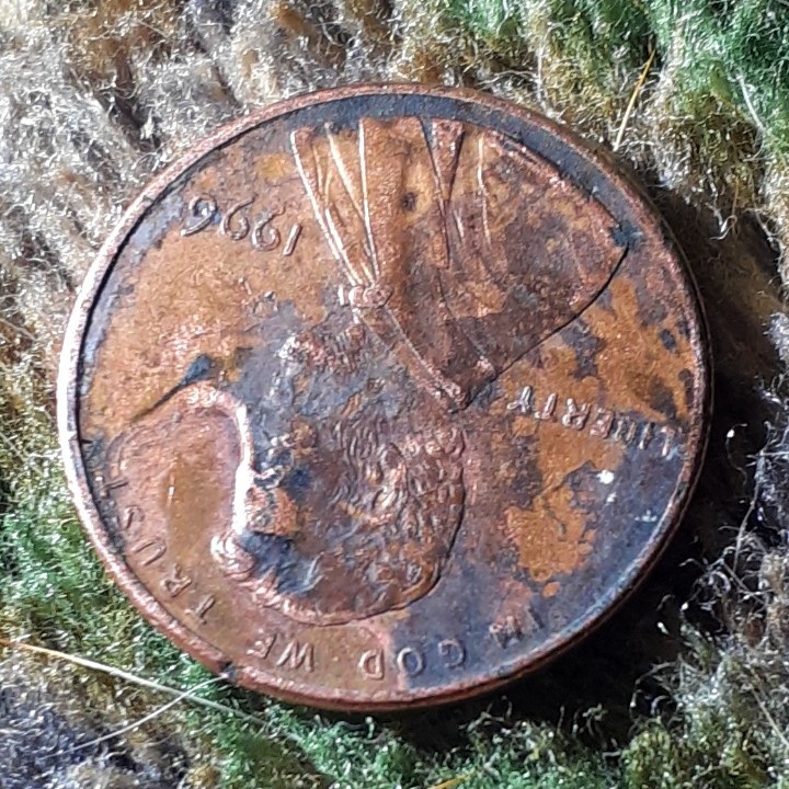 1996-Lincoln-Penny-Error?