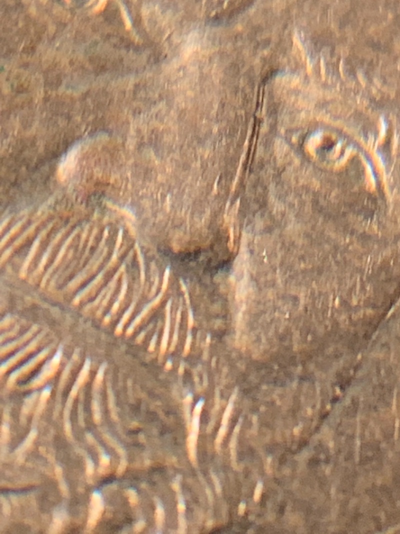 Possible-Nose-Error-On-A-Ulysses-Grant-$1-Thank-You-For-Looking.