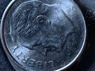 2017-P-Dime-With-Fading-On-The-Observe-Side-With-Possible-Errors