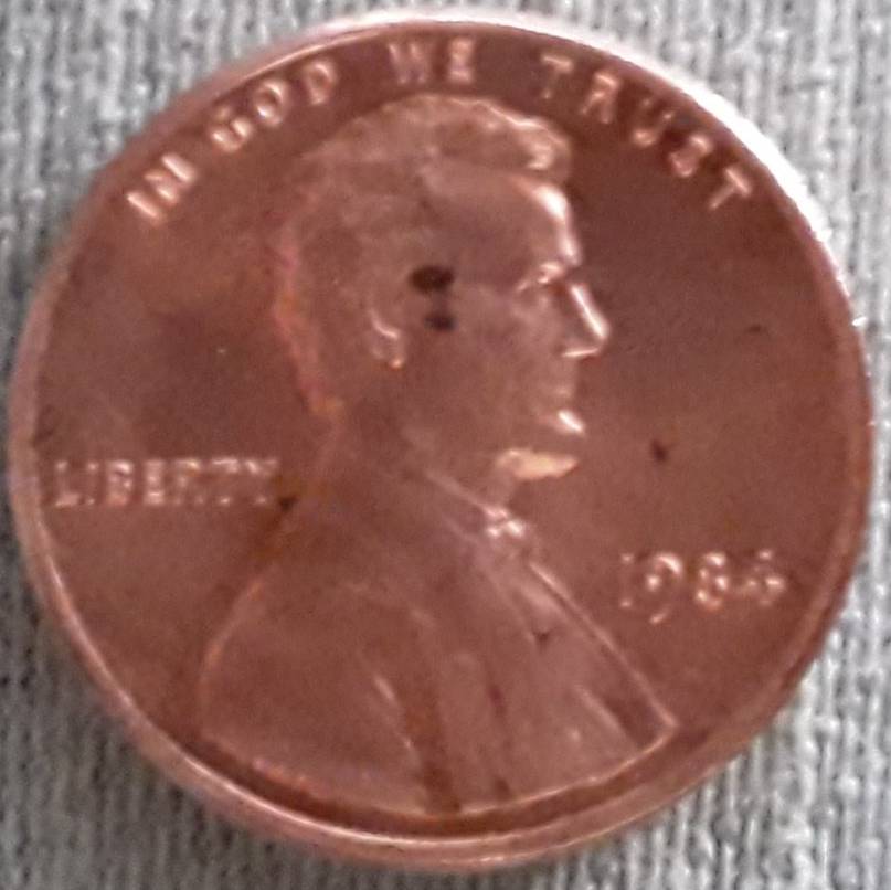1984-Penny--Looks-To-Be-In-Great-Shape