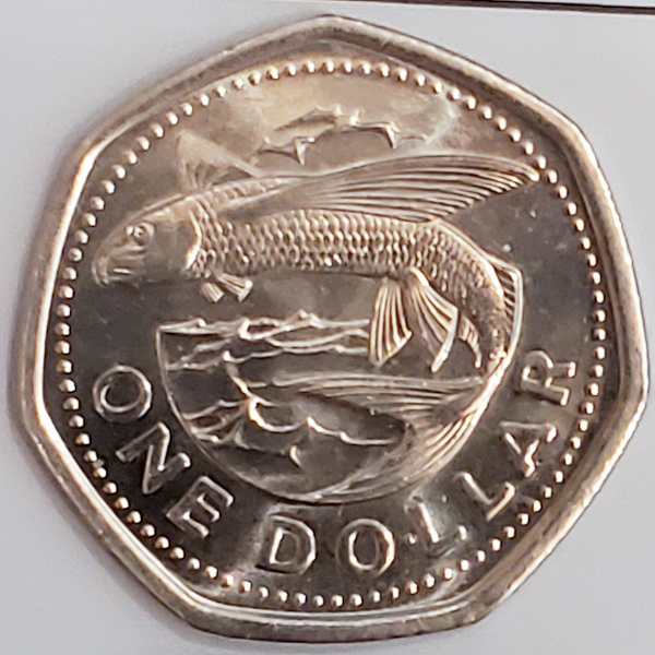 Yet-Another-Forum-Game---Numismatic-Go-Fish!