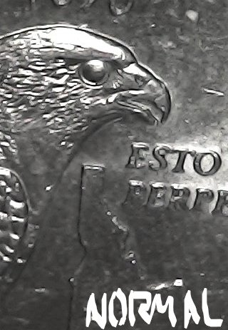 2007-P-Idaho-State-Quarter-Die-Chip-Error-Or-Extra-Eye