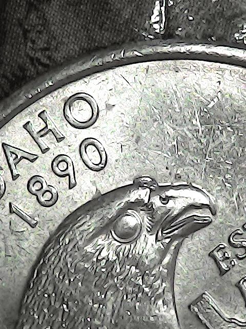 2007-P-Idaho-State-Quarter-Extra-Eye-Certified-Error.