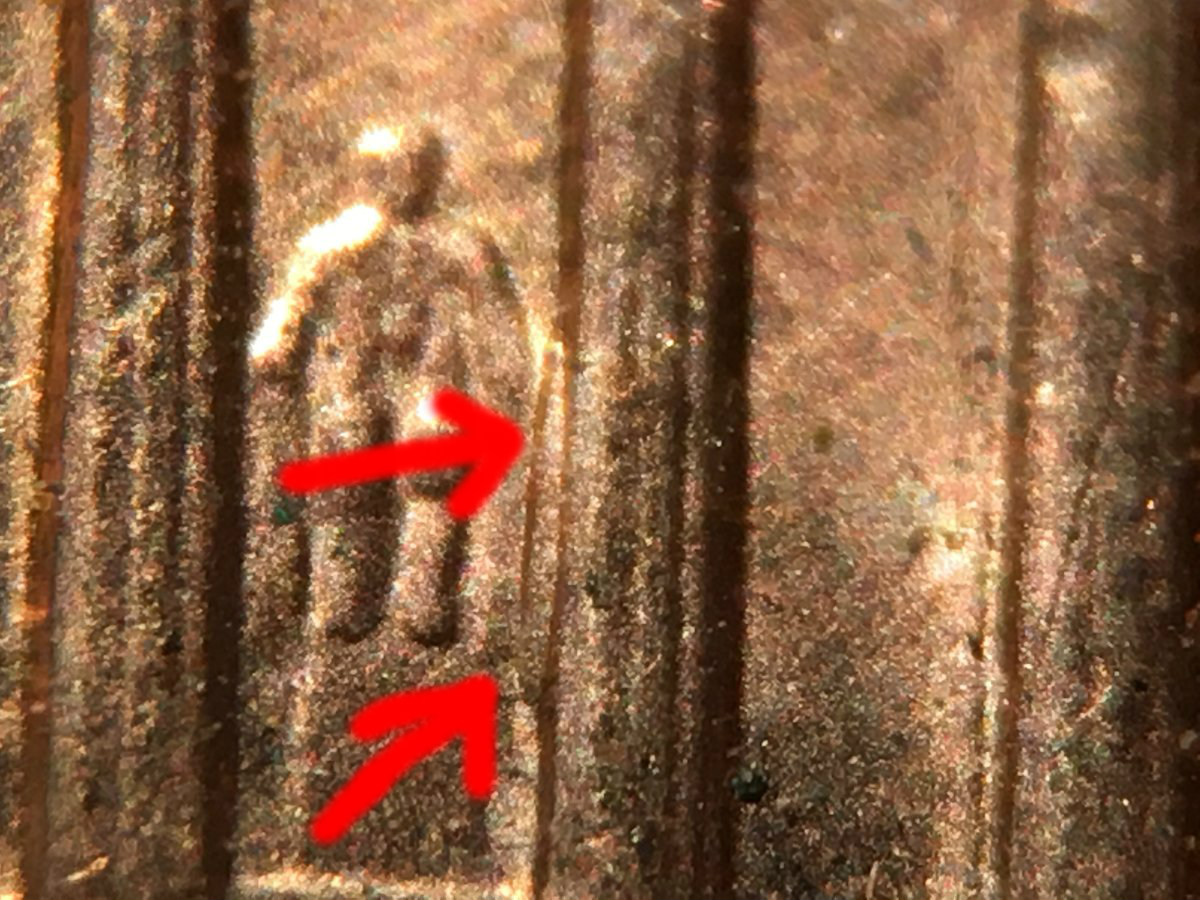 2004-Column-Lmc-DDR-Found!