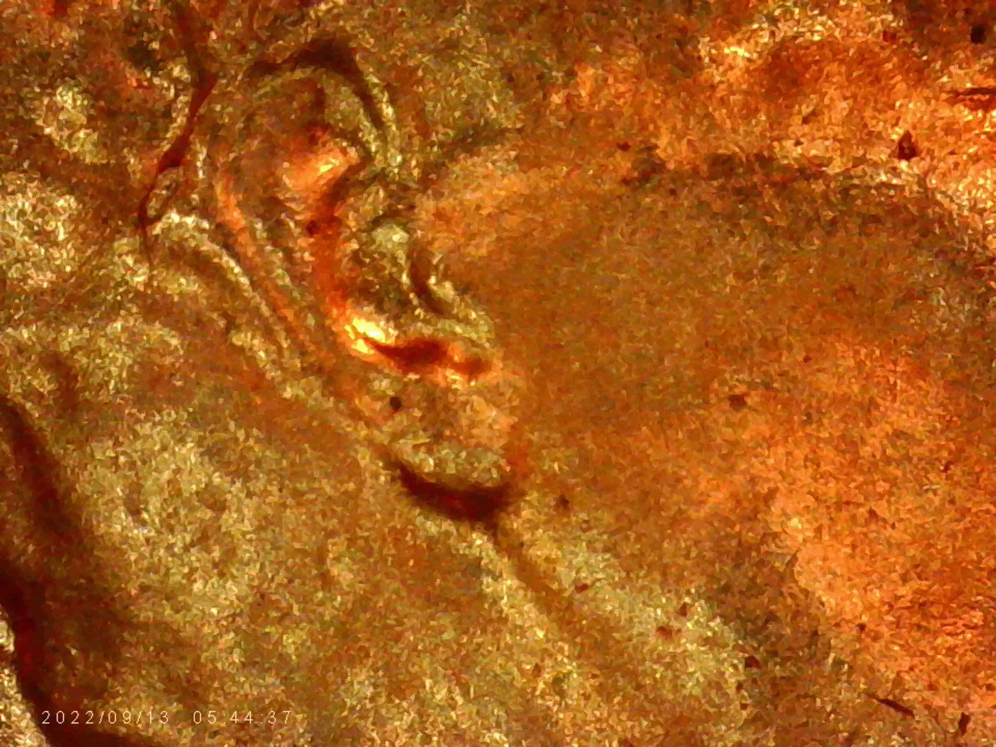 1959-LMC-Is-This-DDO?-Coin-#2-Ear-Hair-Die-Crack-On-Forehead
