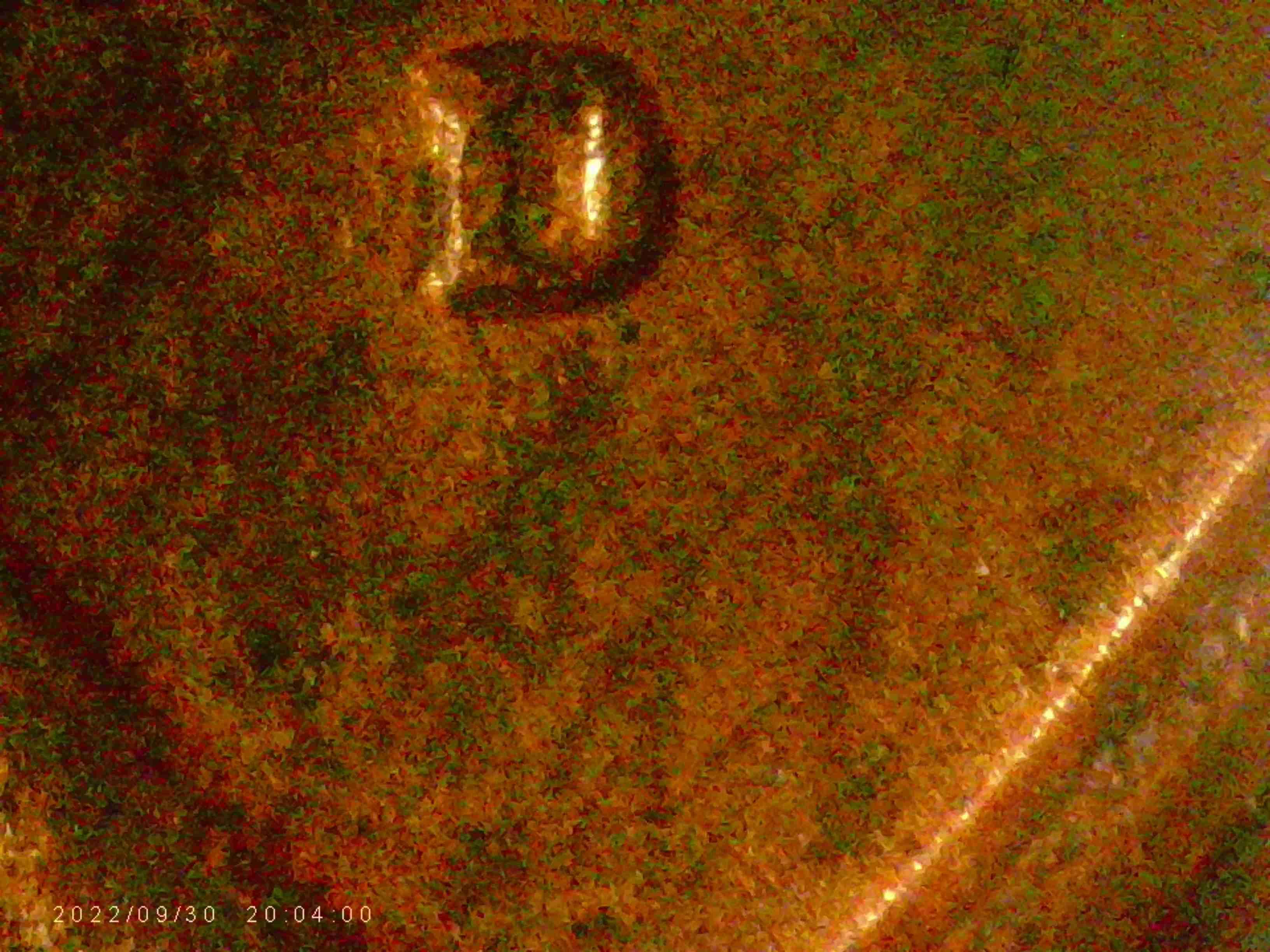 1973-D-LMC-Is-There-Another-D-South-Of-The-First-D-?-Thanks-Bentpenny.