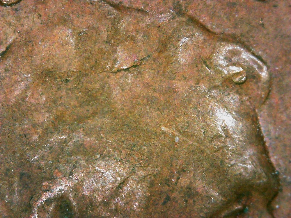 1956-LWC-Delamination?