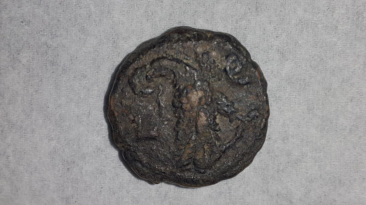 Think-Roman-300-Ad-Egypt-So-What-You-Think-Real-Or-Fake!?