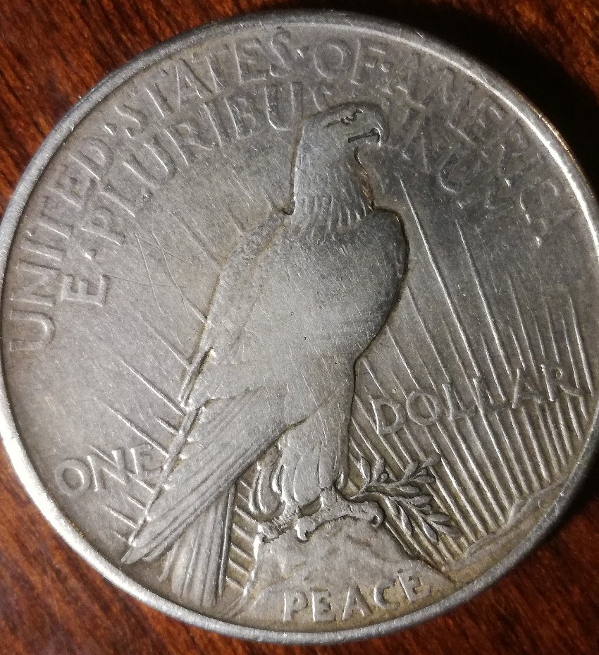 Need-Help-With-1878-Morgan-Dollar-And-1921-Peace-Dollar