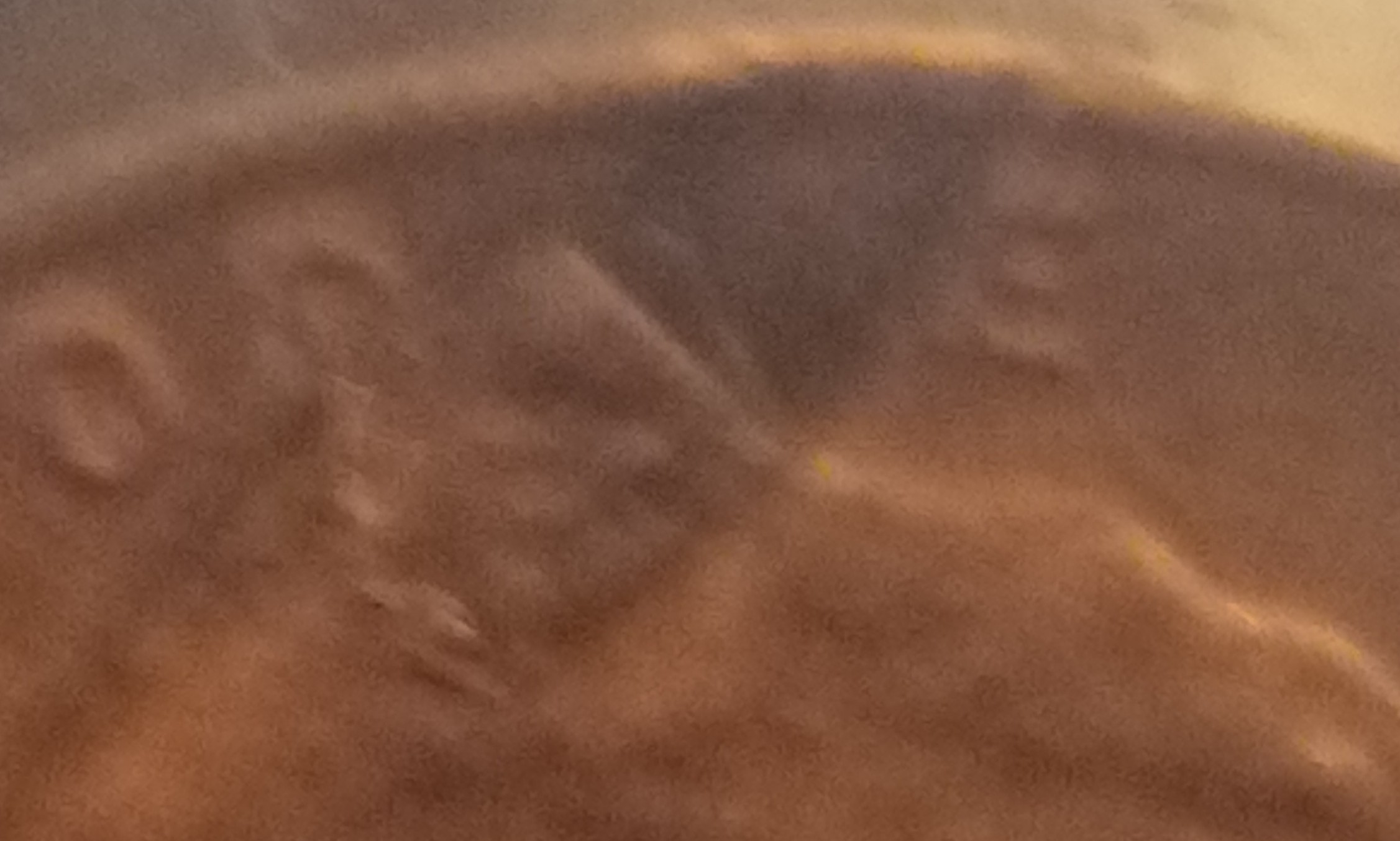 1946-D-Lincoln-Eye-Catcher-Please-Help-Input-Look-Like-The-Die-Broke-In-We