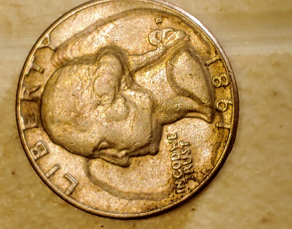 Expert-Opinion-Needed-On-1981-Quarter