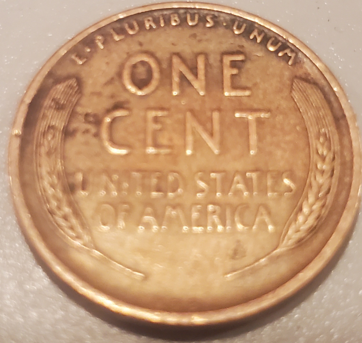1909-VDB-Matte-Proof?
