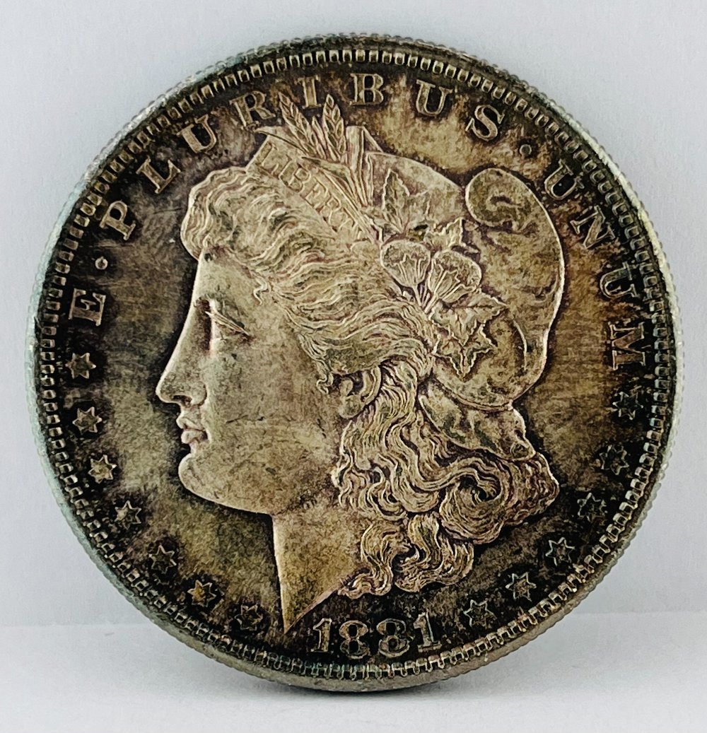 A-Couple-Morgan-Dollars-Thinking-Of-Submitting-For-Grading.