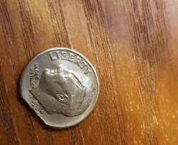 Errors-Or-Just-Damage?