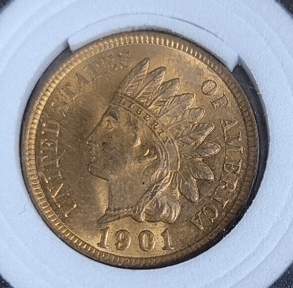 Indian-Cents---1901-Possible-New-Die-Varieties?