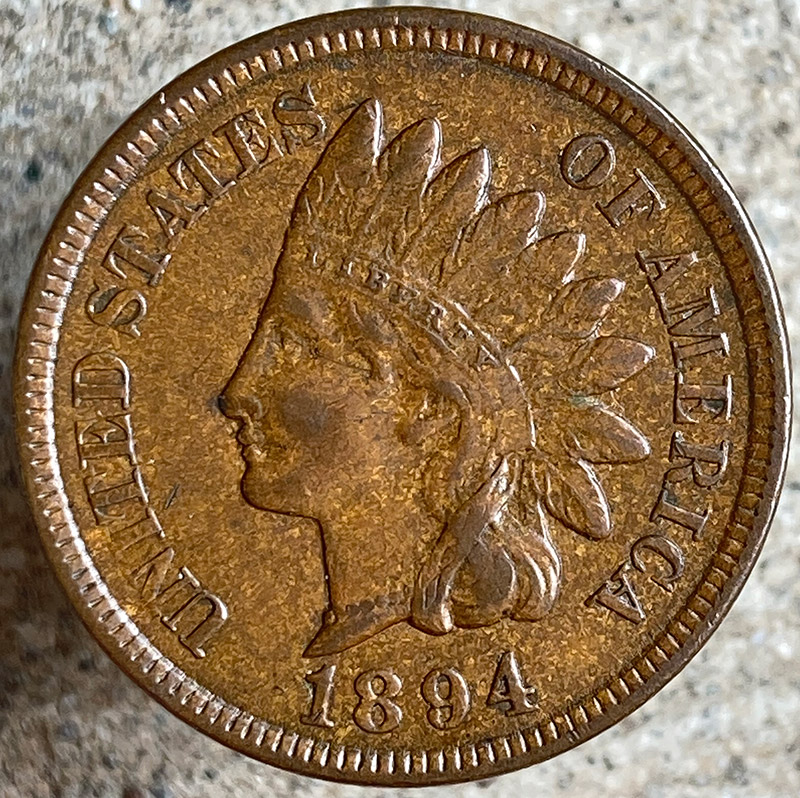1894-Indian-Cent---Looks-Like-I-Bought-A-Pig-In-A-Poke