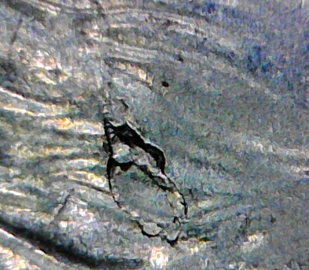 2018-P-Dime-With-Stem-On-Reverse