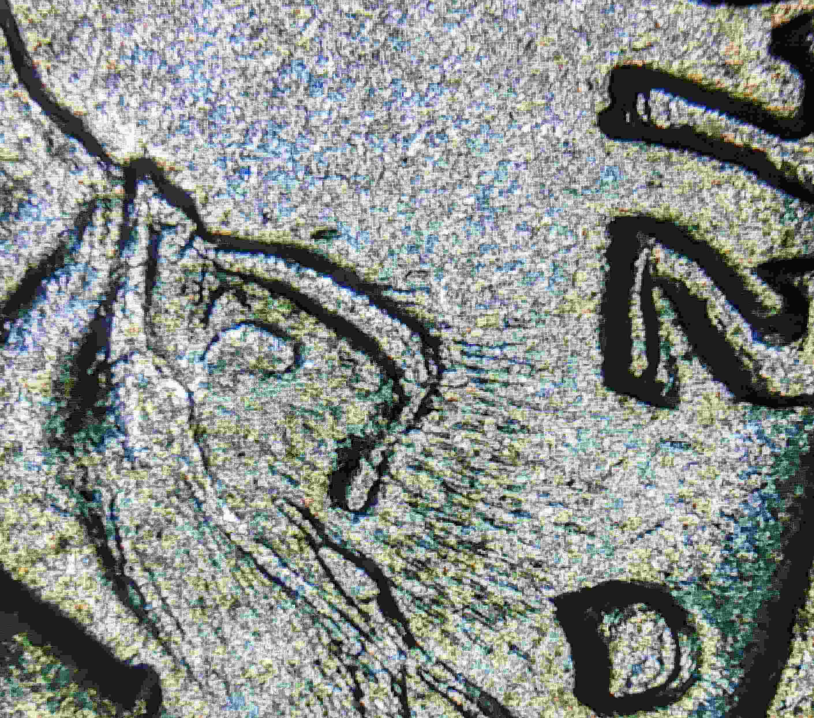 1972-D-Jefferson-Nickels---Weird-Starburst-Like-Marks