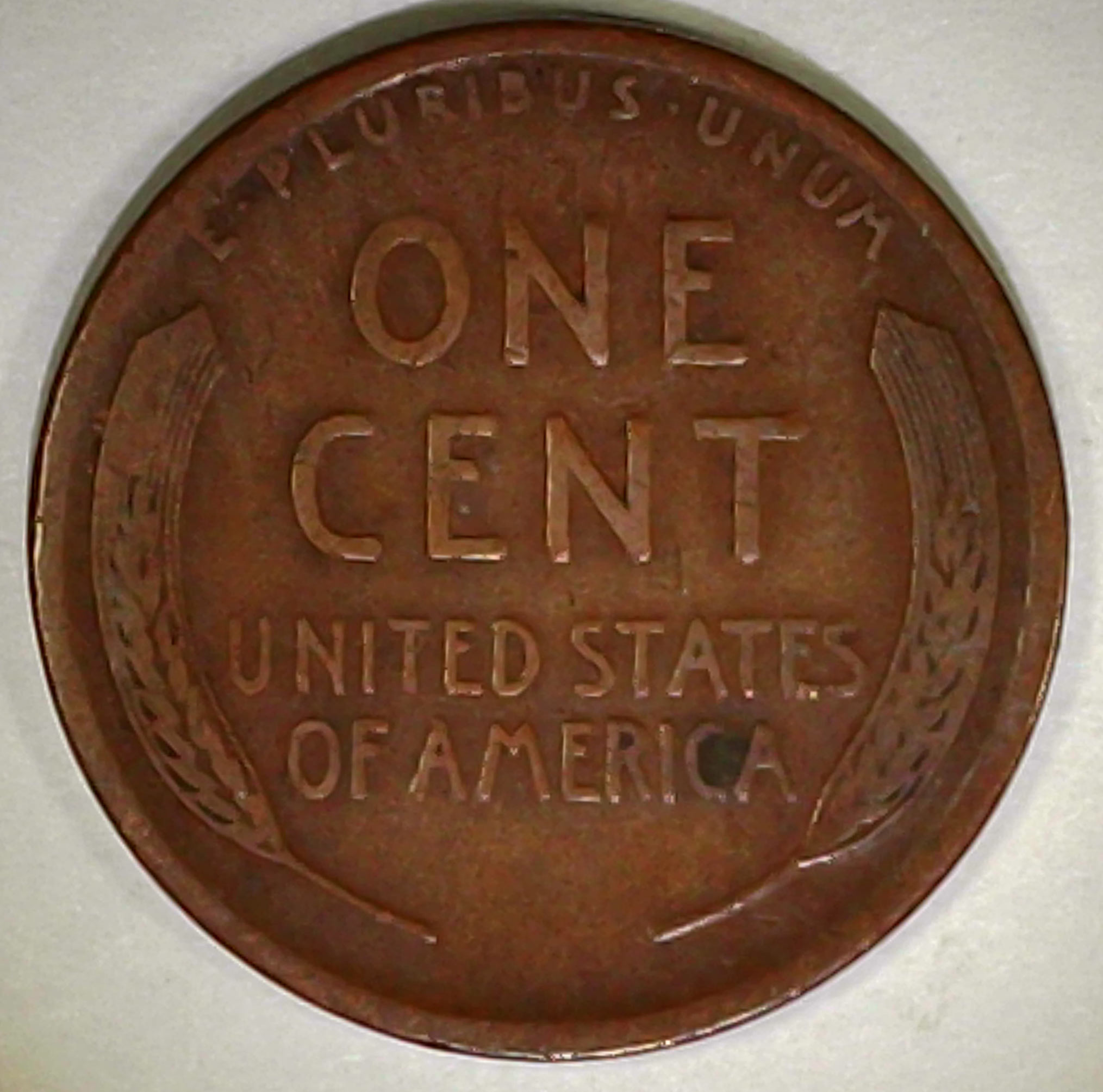 1919-D-Wheat-Penny---An-
