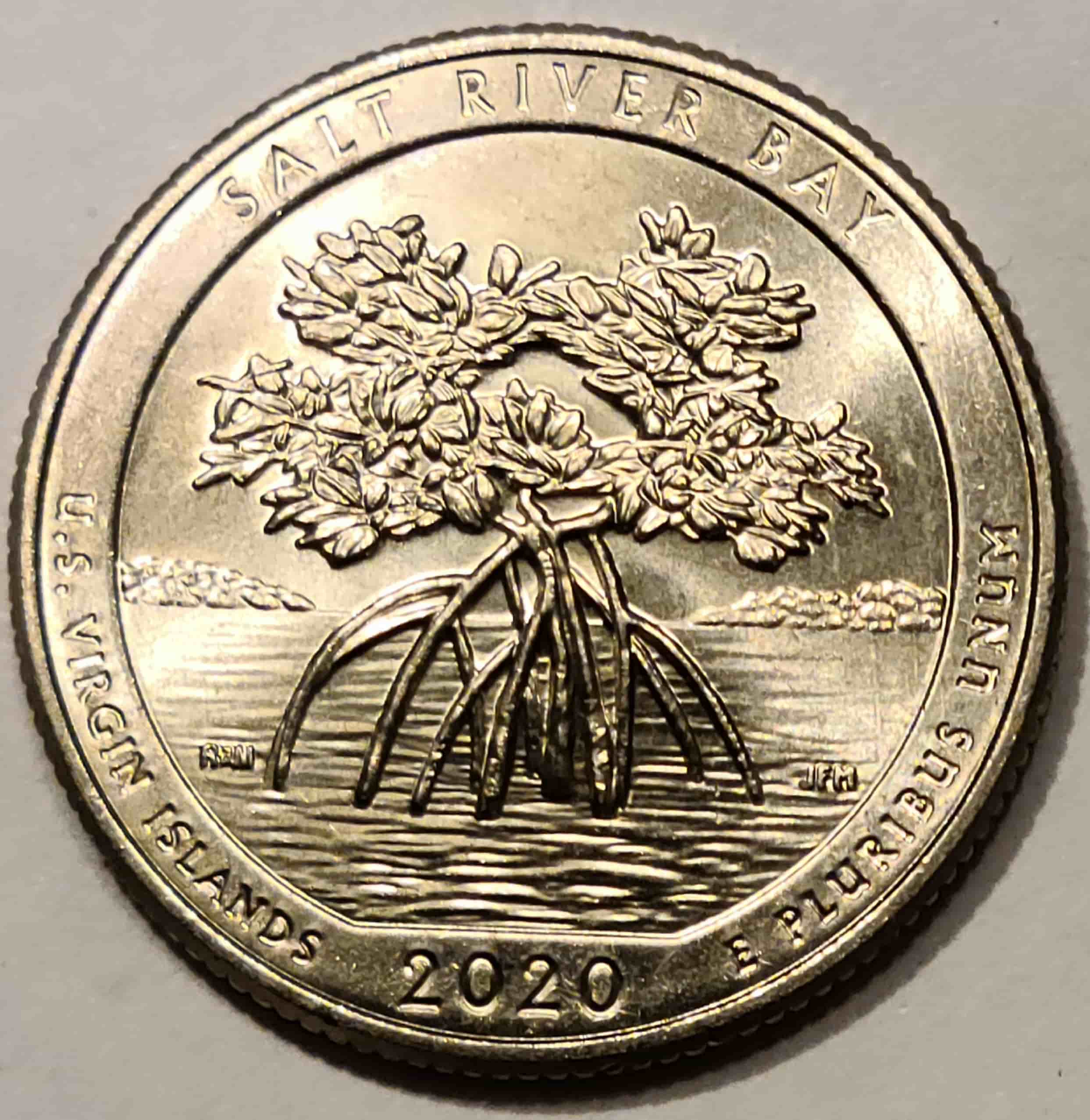 2020-D-Quarter---MD-Sadly