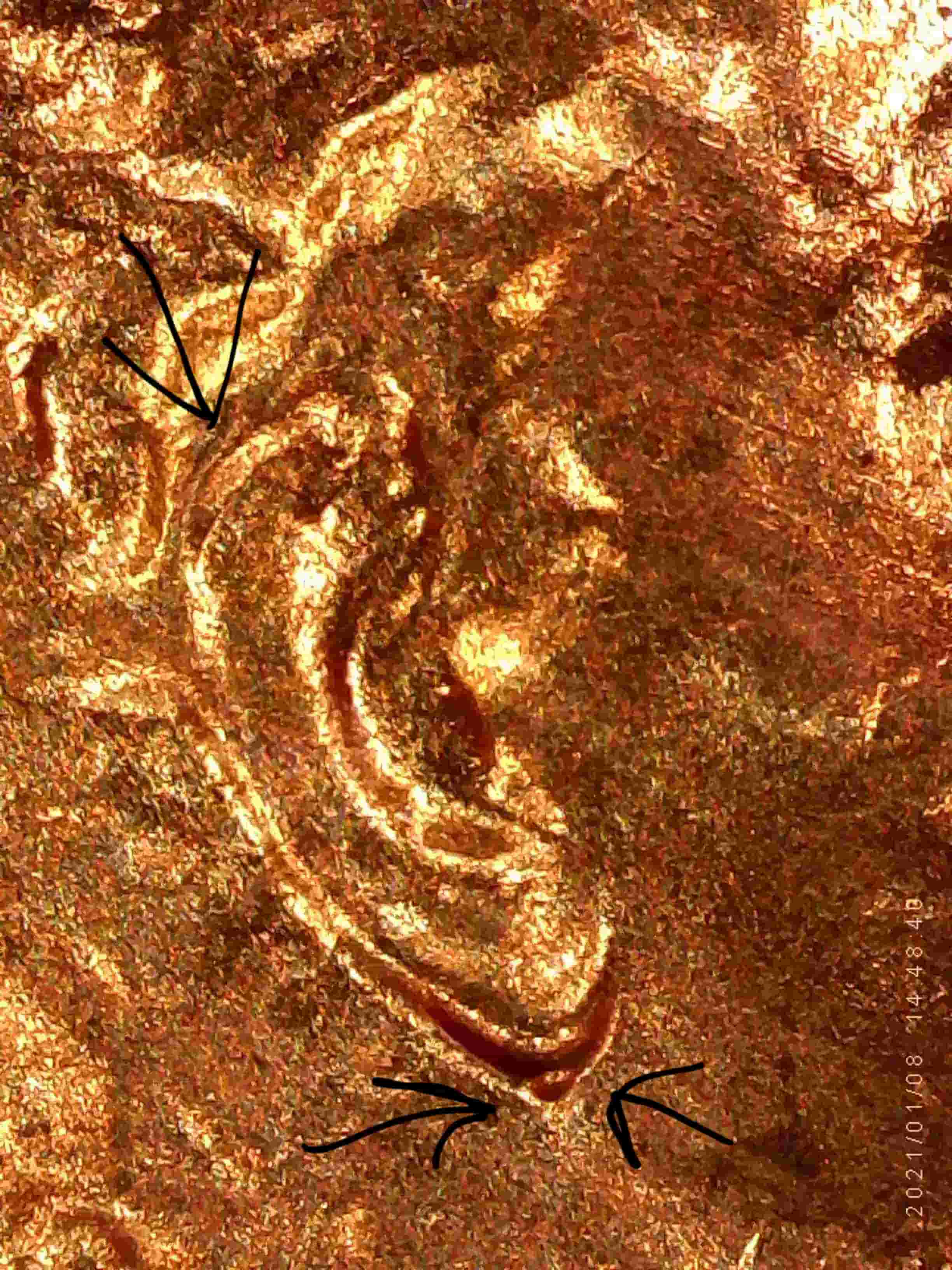 2021-P-Penny-_-Doubled-Ear-And/Or-Die-Chip?