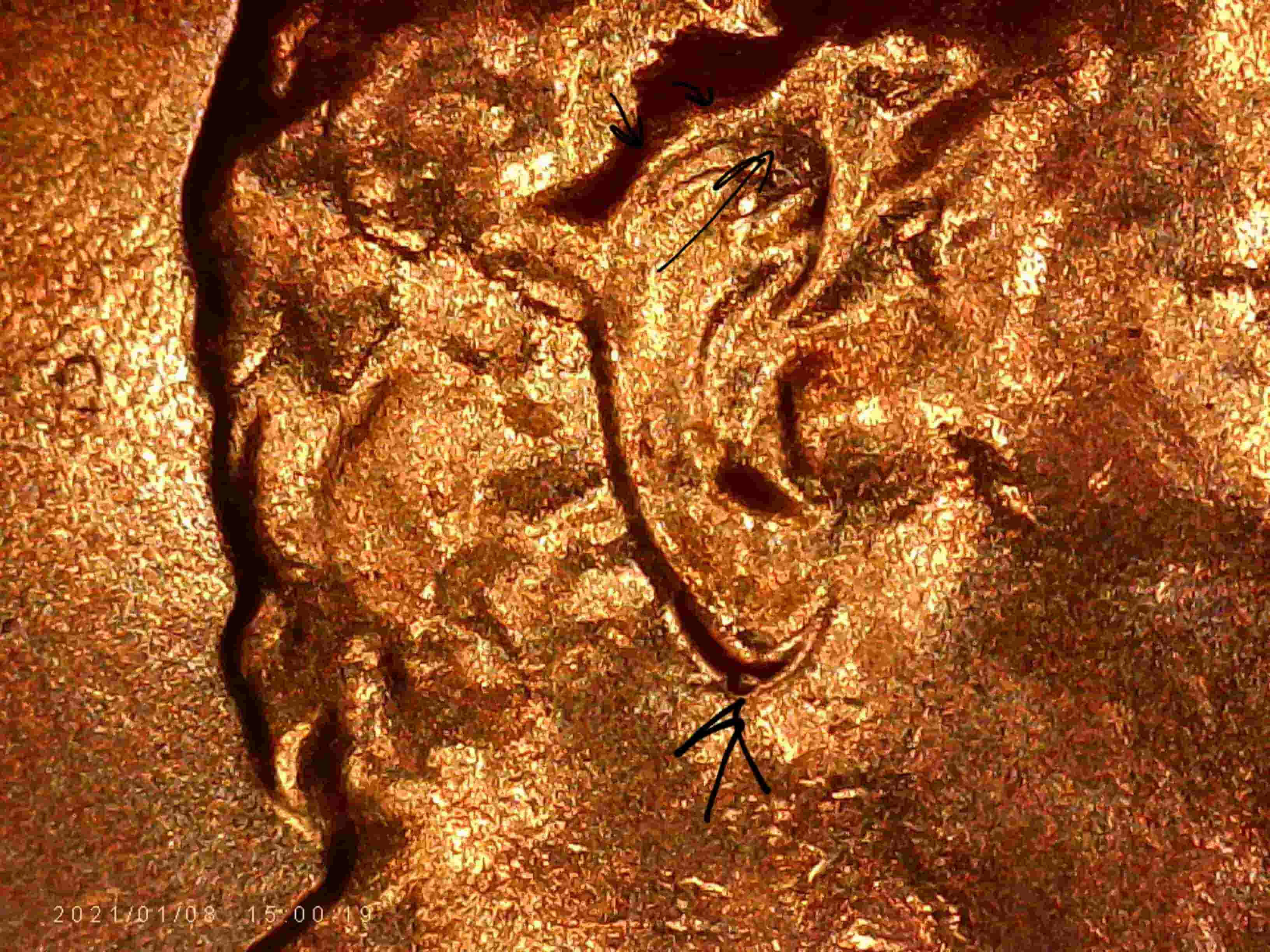2021-P-Penny-_-Doubled-Ear-And/Or-Die-Chip?