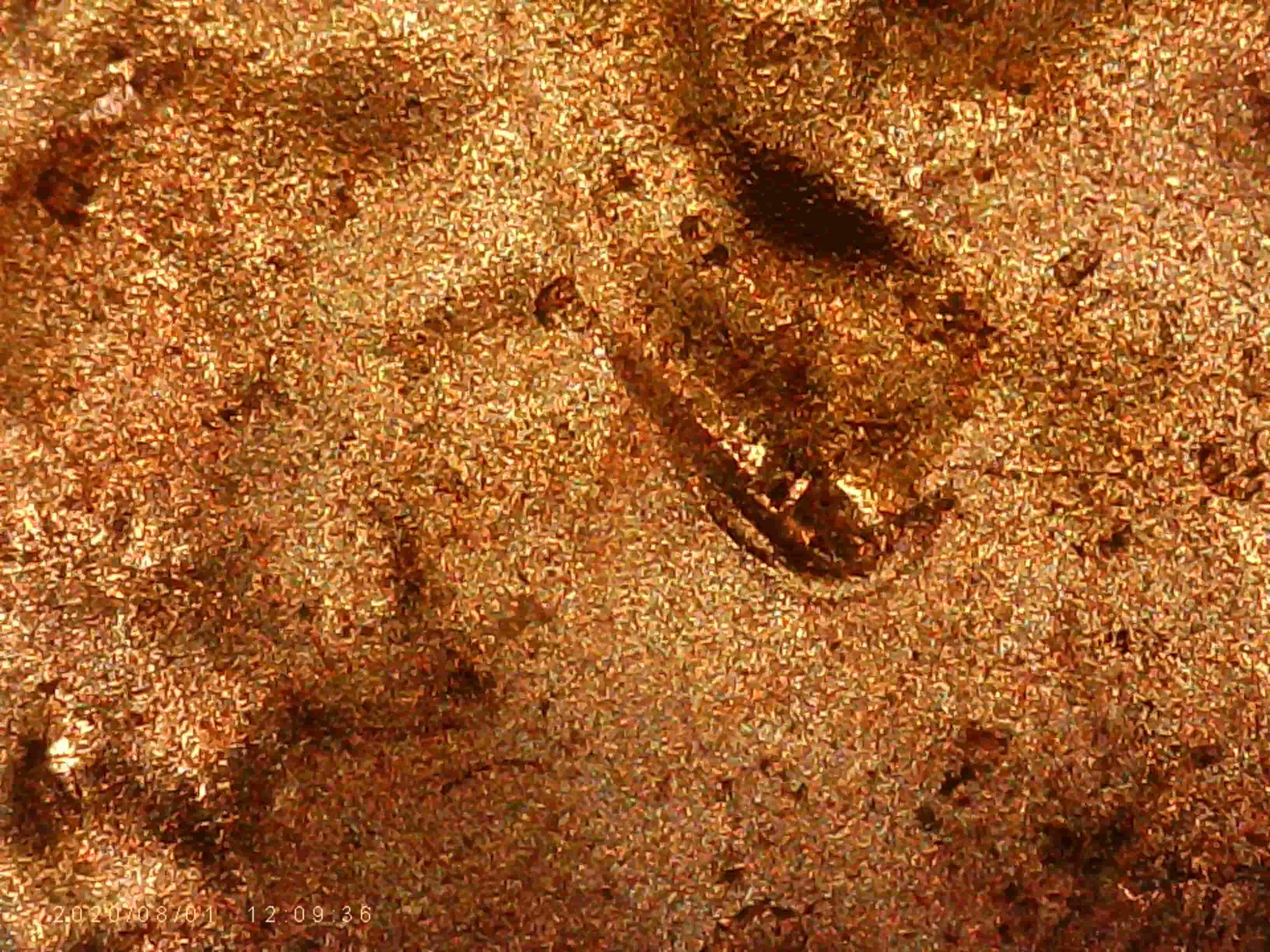 2021-D-Penny---Doubled-Ear-Or-PMD?