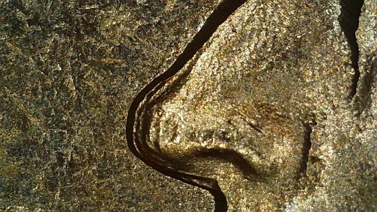 1960-P-Uncirculated-Jefferson-Nickel---Double-Die-Times-4,-5,6,7?