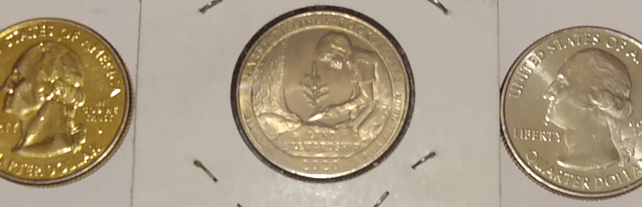 2020-D-Billings-Quarter.-Strange-Color