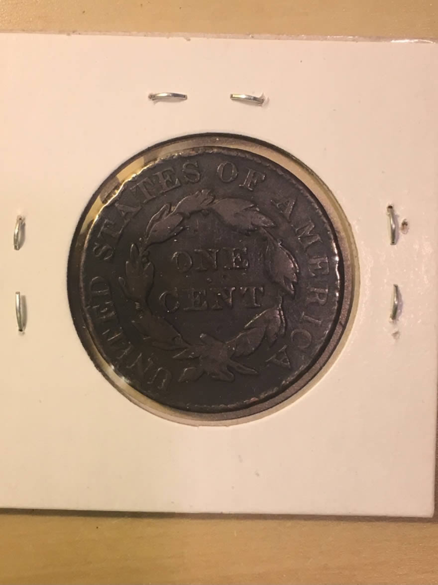 My-300-Wheat-Penny-Lot-Come-Look-And-See!-More-Pics!-Price-Revealed!
