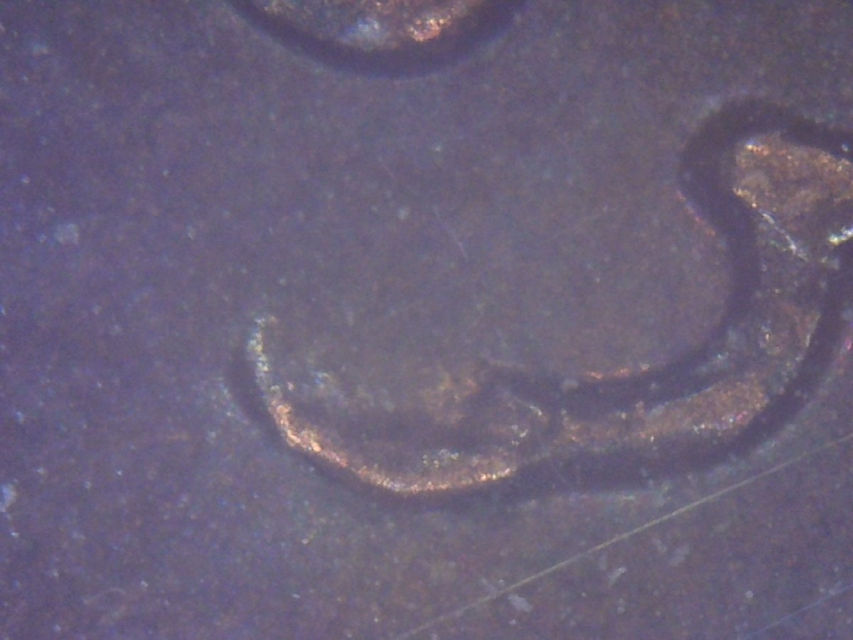 1983-Extended-3-Lincoln-Cent