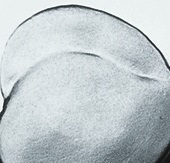 500th-Post-Contest---Let-The-Guessing-Begin