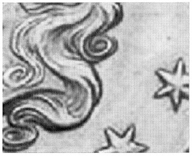 500th-Post-Contest---Let-The-Guessing-Begin
