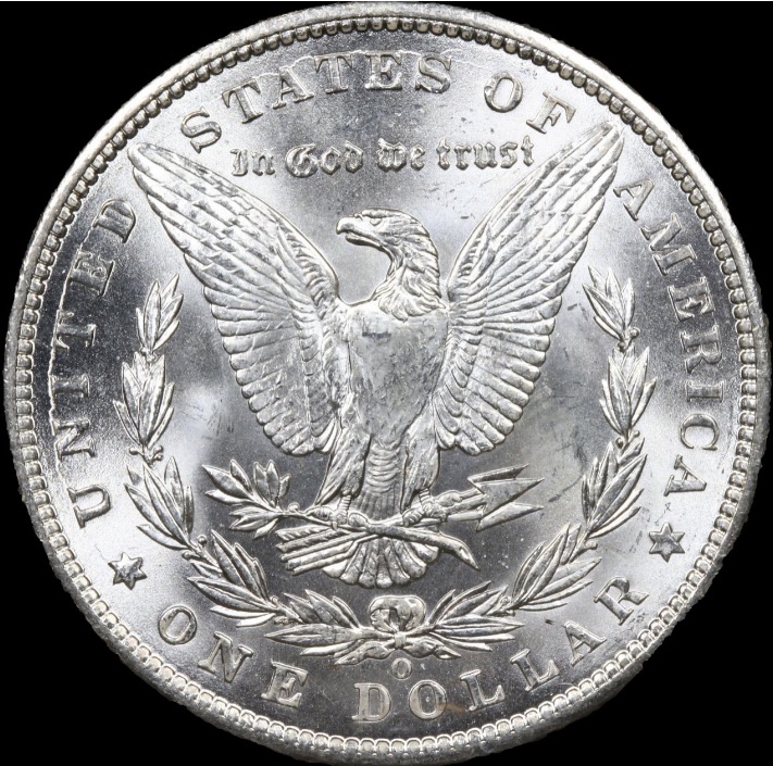 28-Days-Of-The-Morgan-Dollars-Part-5
