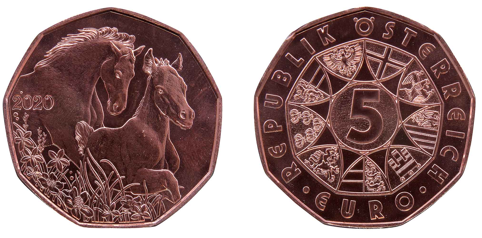 Post-Your-Coins-Representing-The-Animal-Kingdom.