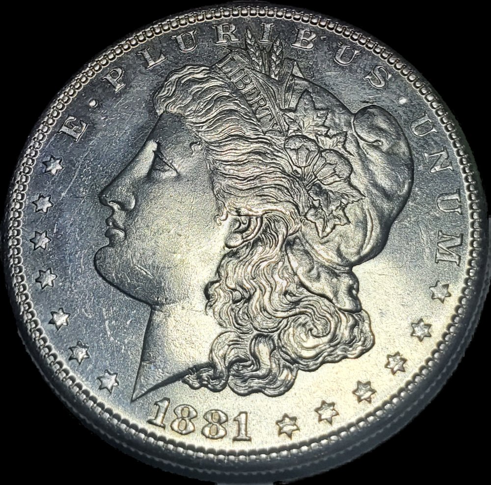 Grade-For-This-1881-S-Morgan?