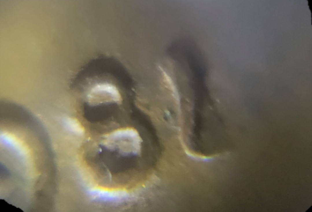 1981-Lincoln--No-Mint-Mark--Crooked-1-In-Date?