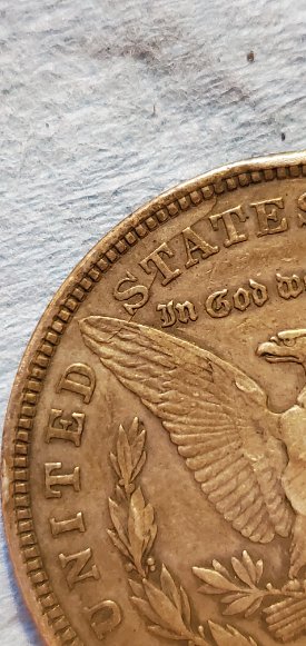 Grade-On-This-Beauty,-1921-D-Morgan