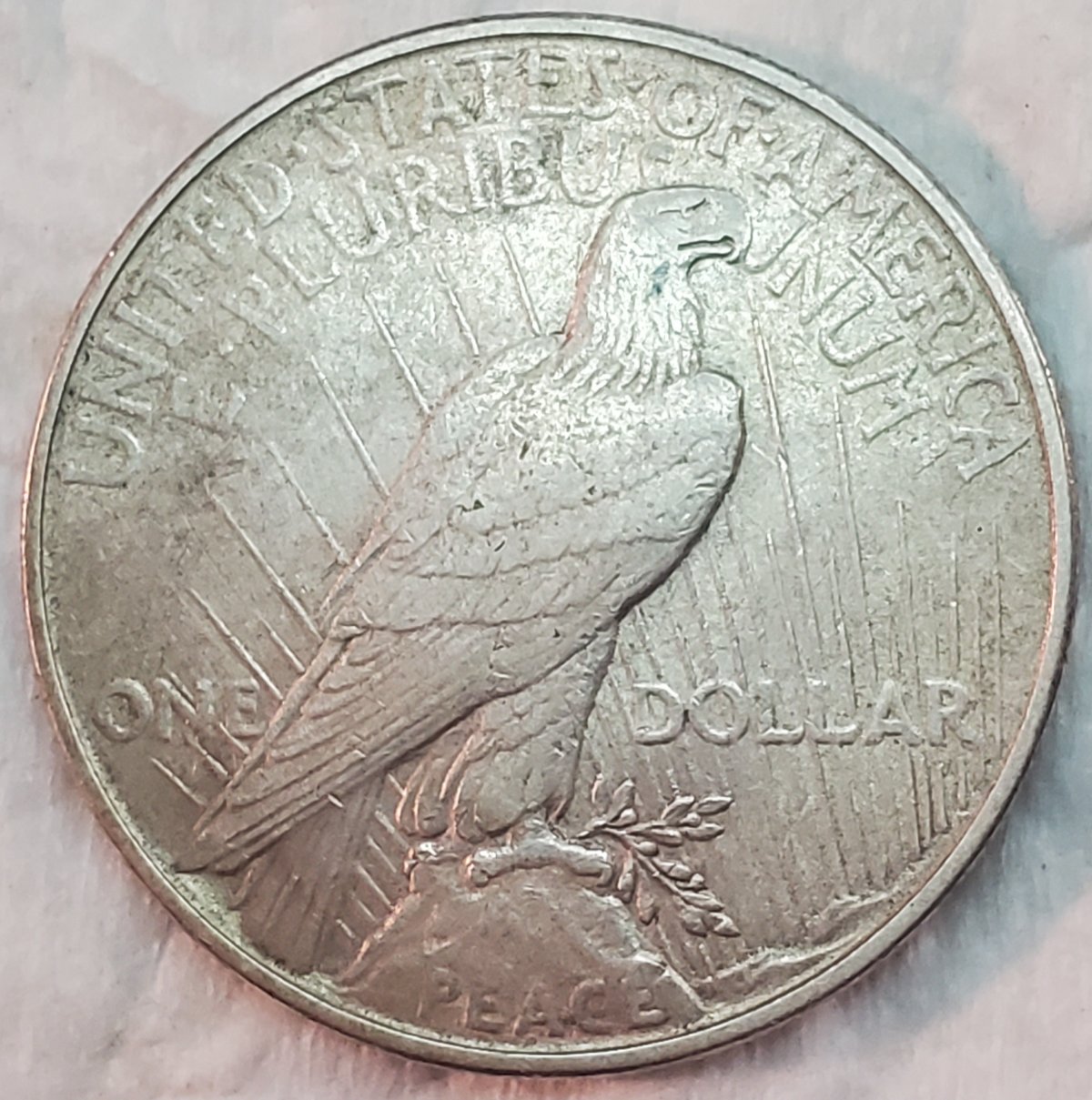 Need-A-Grade-On-This-1922-P-Peace-Dollar-Please
